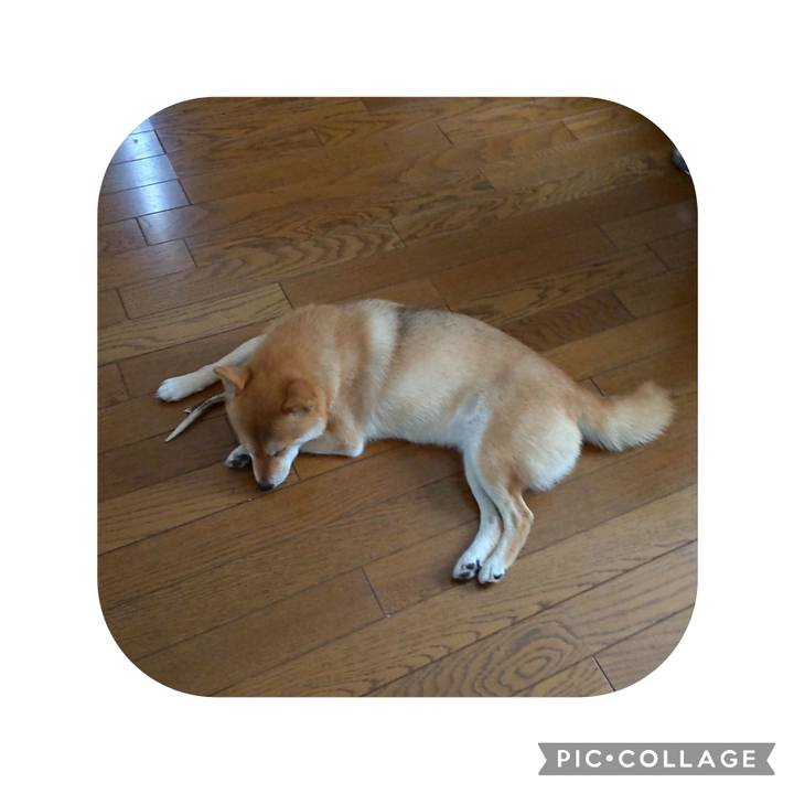 1d061ec4 a1af 45e5 92d9 7474da23e21a 1691712987266