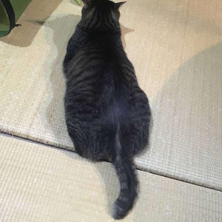 1d06896d 3d67 4cee bd3c 553e21b54065 1592136628145