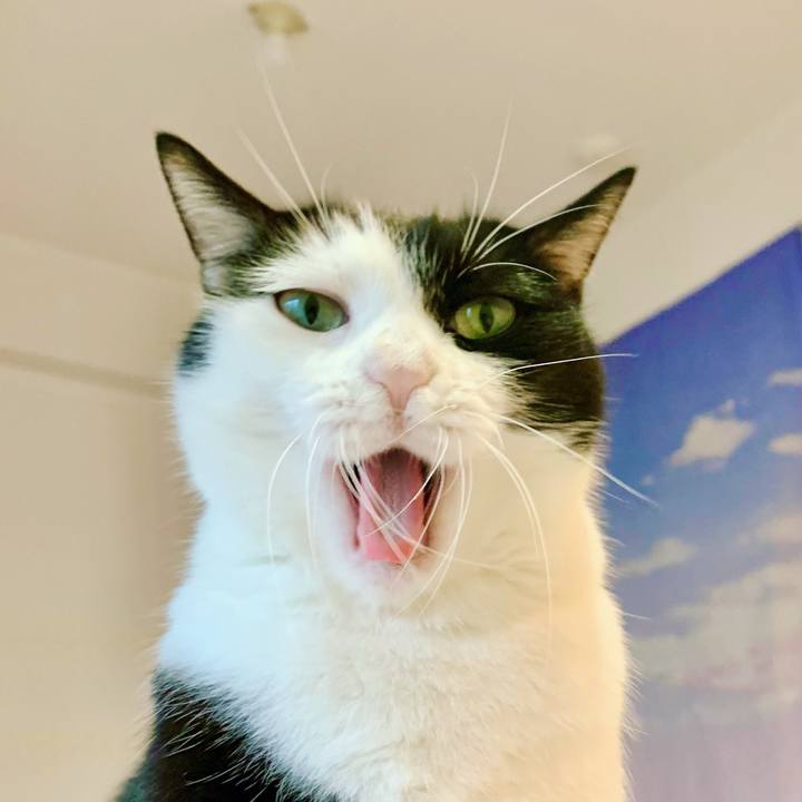 1d06a856 0e1f 4be7 9515 6f427d7087be 1630282564429