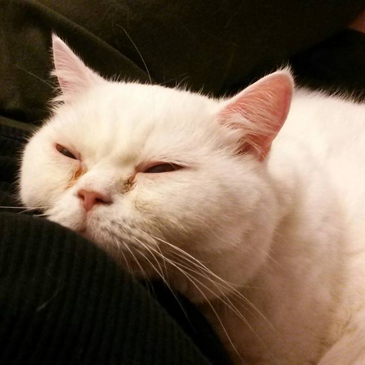 1d06abcd 0d77 4058 afce 03e1d682fb42 1588572928126