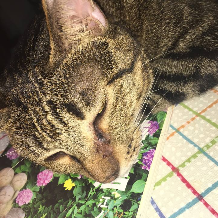 1d06c401 405d 4e9e 908b aa54fe68a299 1539514181545