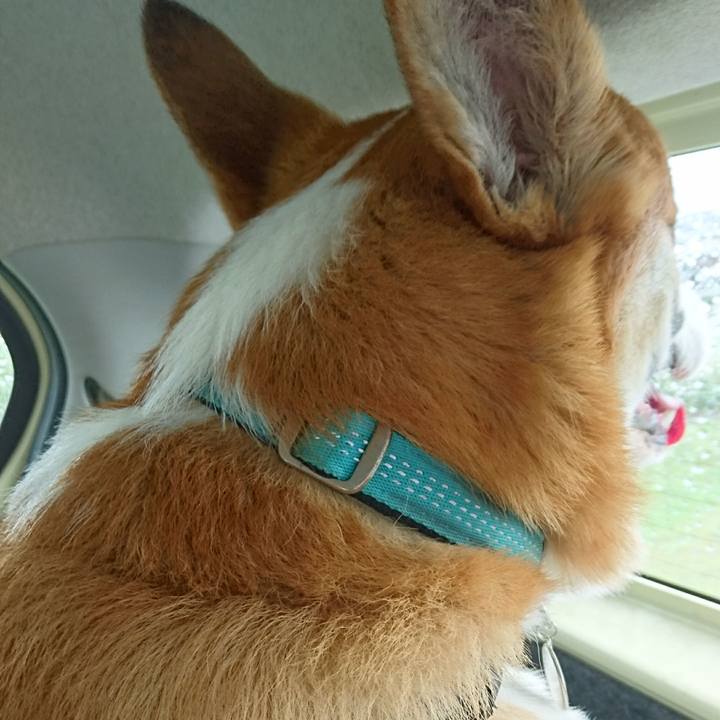 1d06c8c1 286e 4f41 b6fc 119acf039453 1621386449056