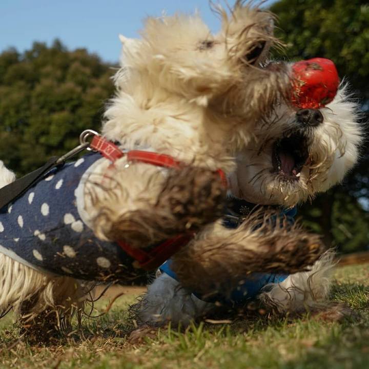 1d06cfdc c646 47a2 bfd8 78ddc7c9f058 1522723761522