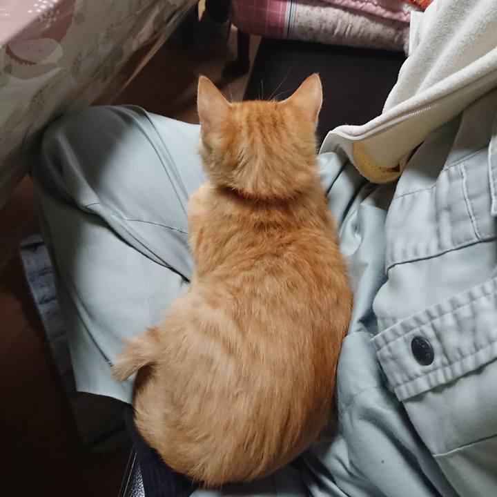 1d0707b0 586b 4c7e 924d d98dfcd5598c 1631831049580