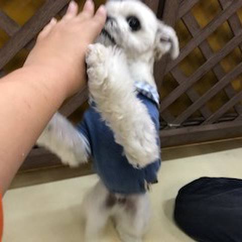 1d0731dd 2a62 4a5e b335 b7f9779219bc 1510661306269