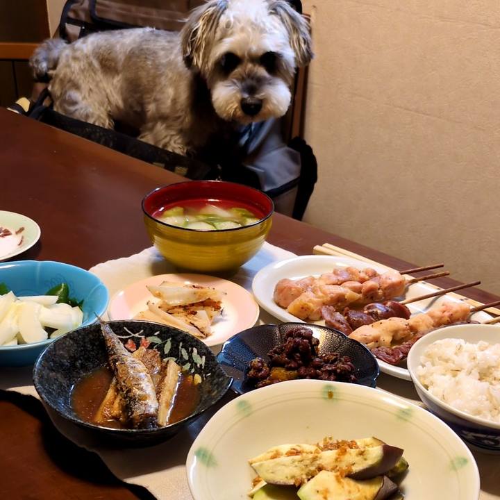 1d0748e0 20bb 43a0 8c91 db344676bfe1 1758546961844