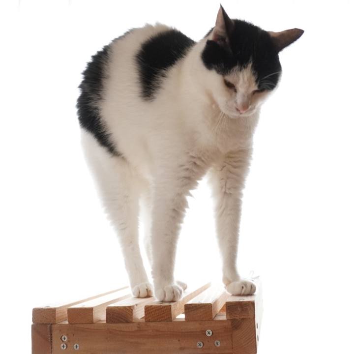 1d07c2f5 1f0e 4f82 97c4 b56e353180b5 1600772631922