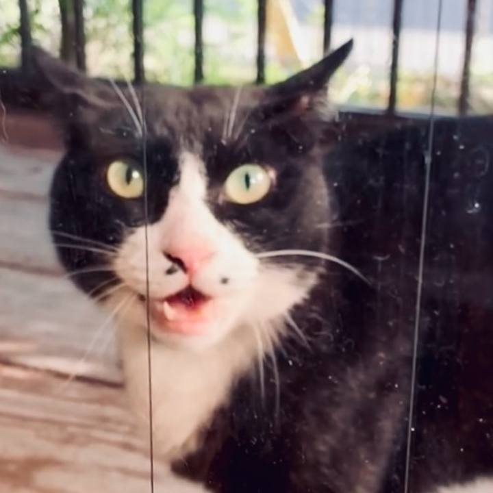 1d07d469 9851 416b b630 0fcd0a5b3b77 1750333986123