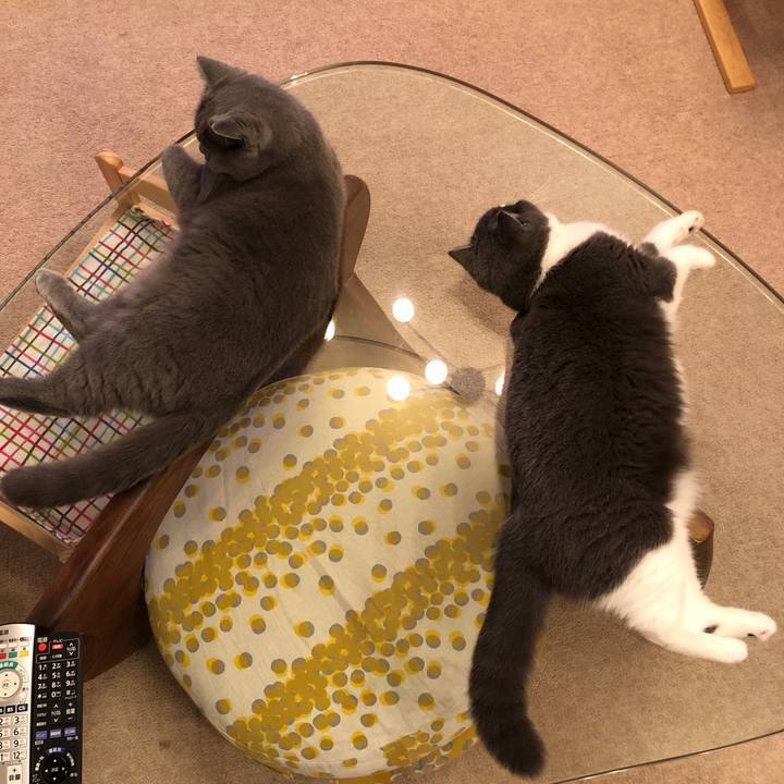 1d07e809 d0ce 4329 a935 6babf3d83a81 1541336121100