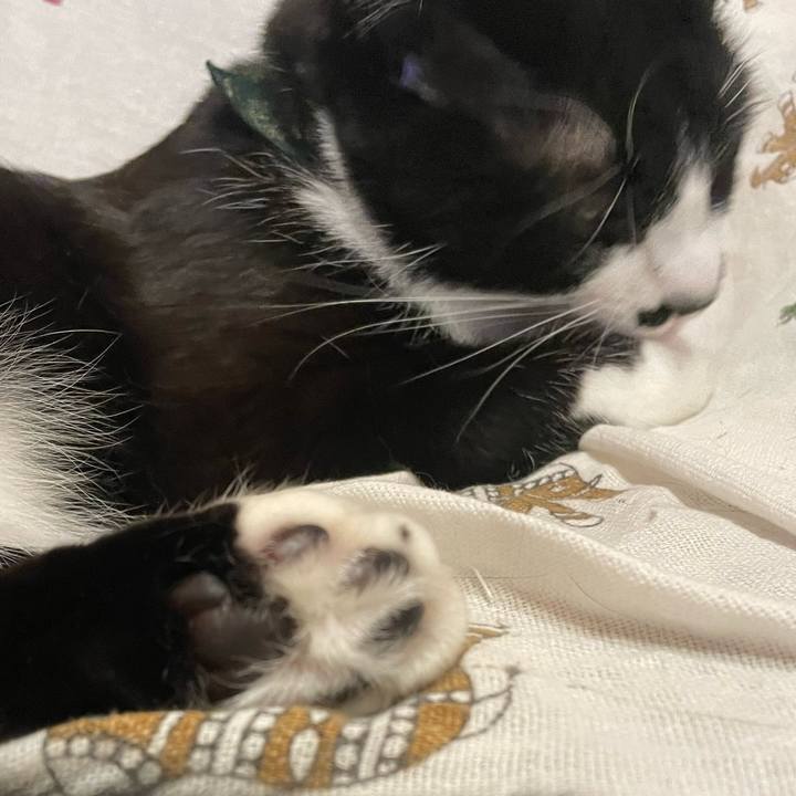 1d07f630 a2b7 4f49 9e83 8e4b577fe5d8 1708092190369