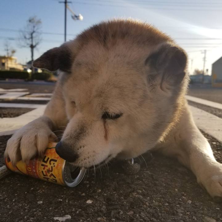 1d0833f2 59af 41d4 84c7 bd32a8ba6437 1733006669341