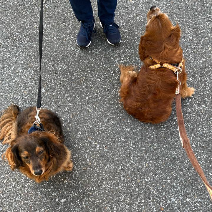 1d087833 d3f6 4411 a0ac 7ac24438a6c0 1746402727826