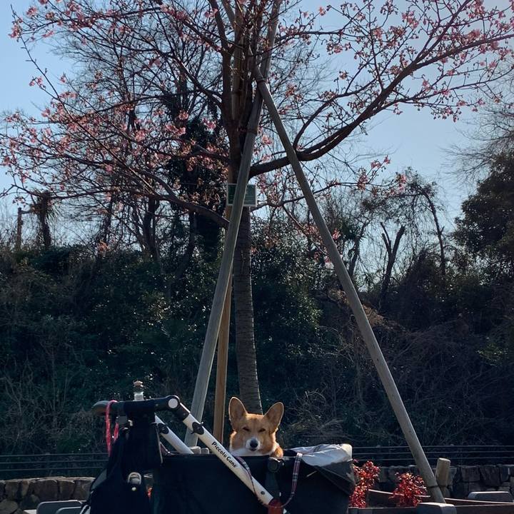 1d087b3c 4c1e 4124 9528 5f35894fc585 1613983654924