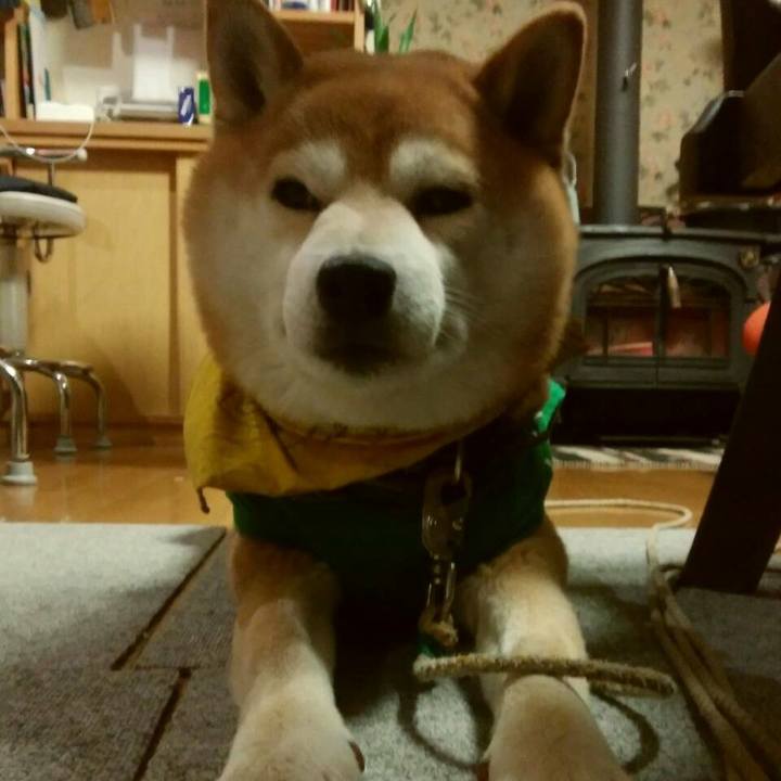 1d0884d6 2985 43ec 9c2c 7319168daad8 1518307339005