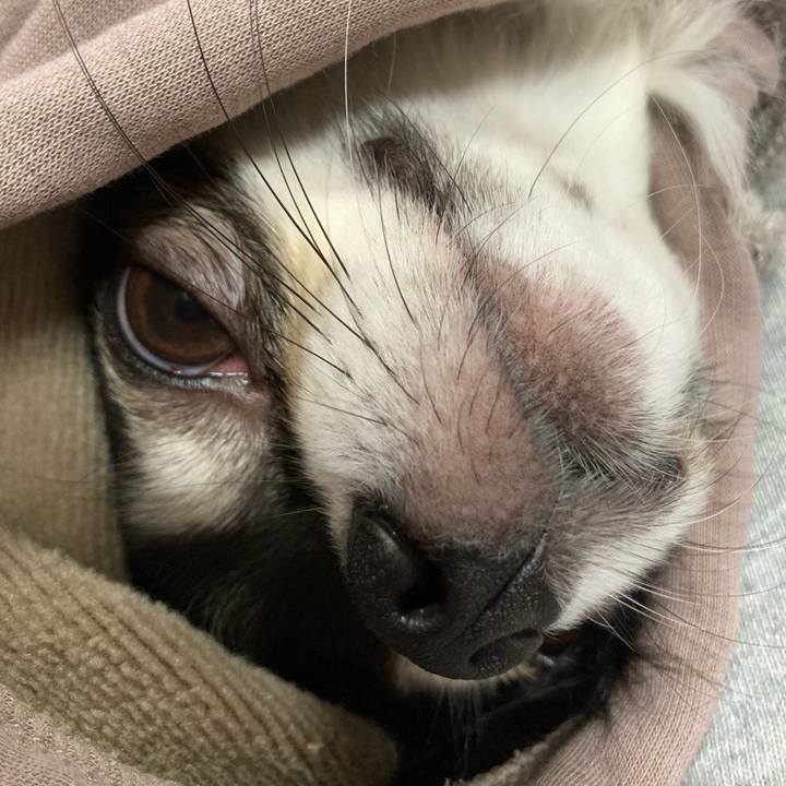 1d08a144 a927 49c6 9df7 0910dde8e1d4 1679153303238