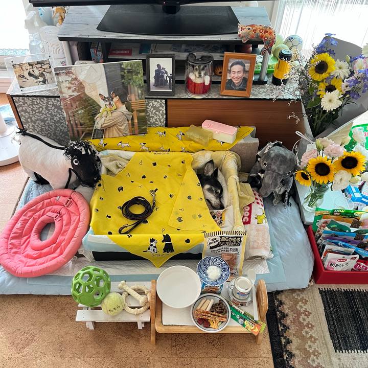 1d08b8d9 a620 4e46 964b 78e1974669df 1659571235031