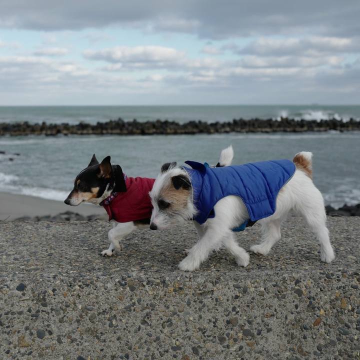 1d08c5cc 597f 4c8a 97dc 17f24f7ca1ab 1520397060644