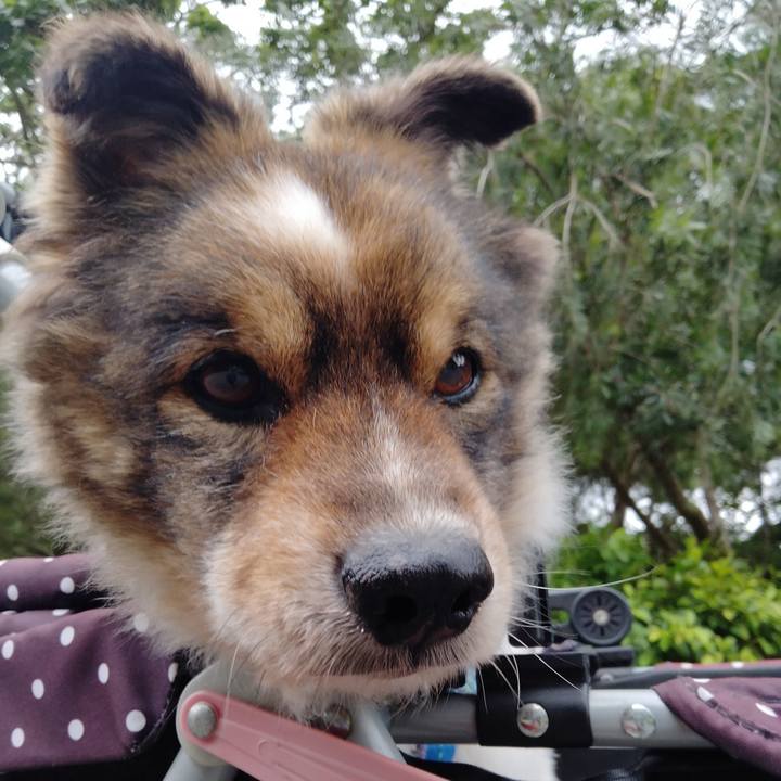 1d08d20f 93a3 42e0 822d 2052ce862835 1620033317504