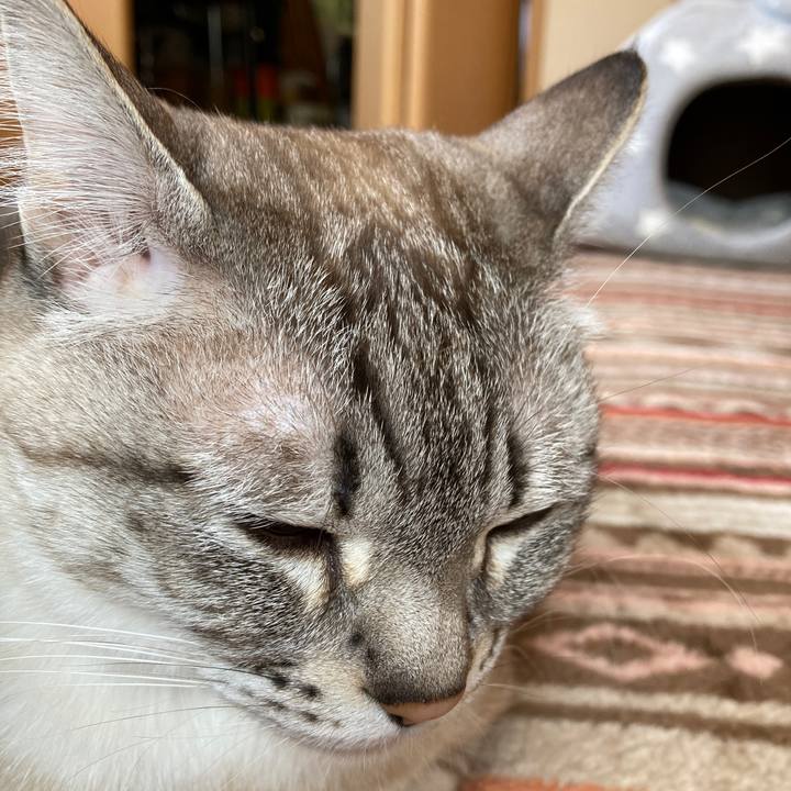 1d08e13c 03c9 4e07 a510 a929451cfffa 1646180765550