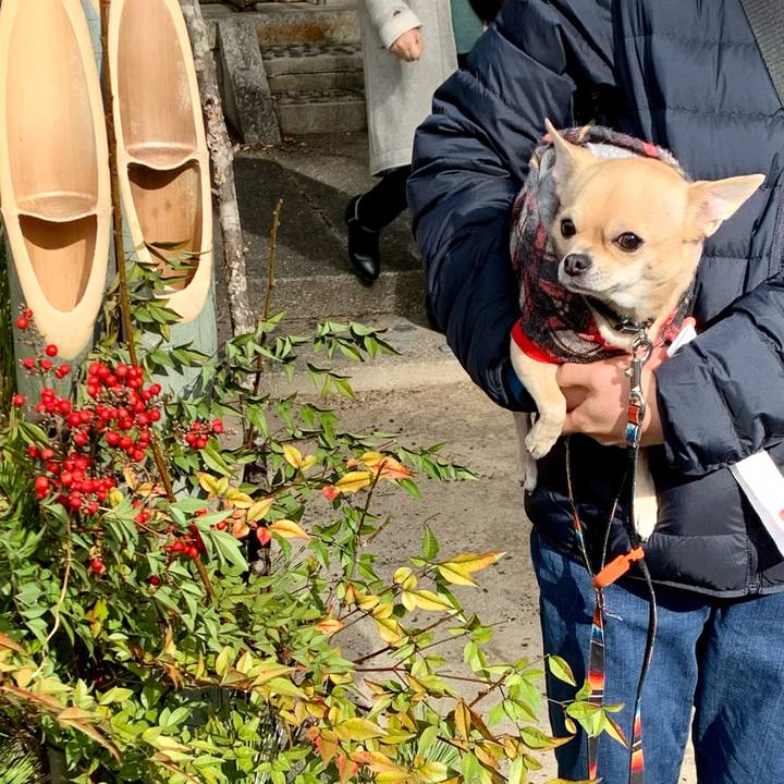 1d094a69 0d2d 49f1 afe1 24847965755c 1609502415274