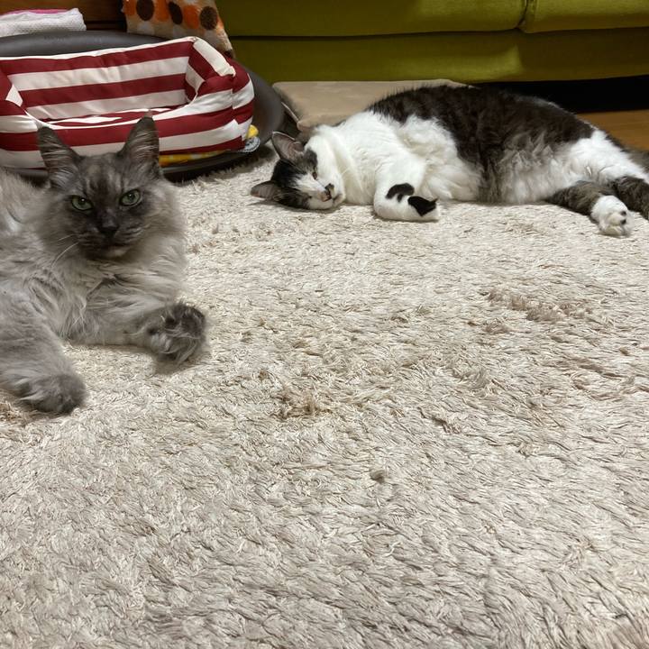 1d095d5f f057 41b6 abb7 fe15422df82f 1713915377964