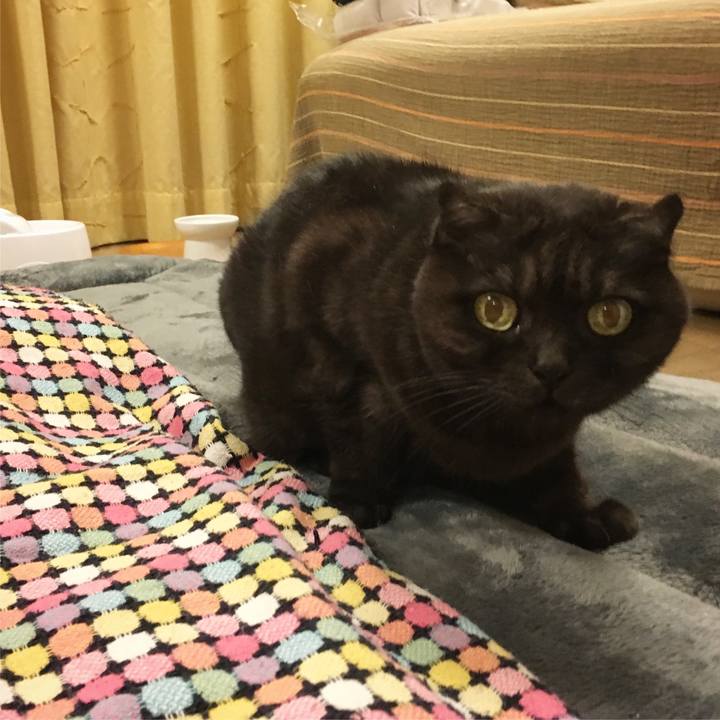 1d0965b2 0adb 4c59 9bf8 6746a6f0982c 1547229178232