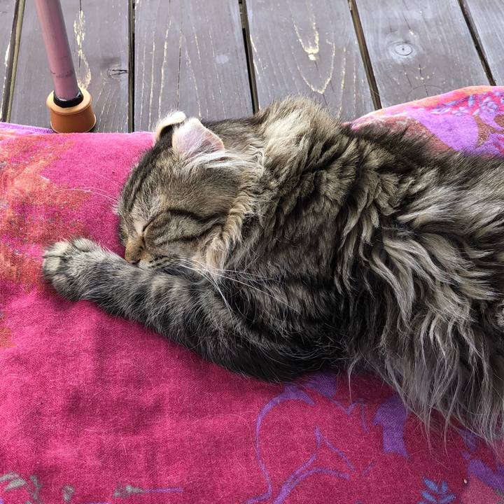 1d099382 3944 467f 9bba cd33450f65b9 1529896548560