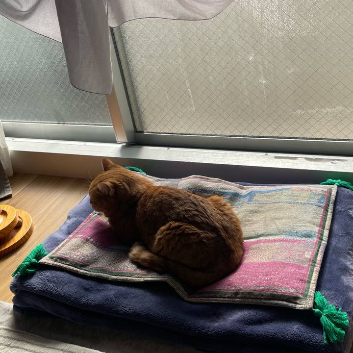 1d09a93d aa2b 4e8a 90d5 0fd21f359737 1771650775683