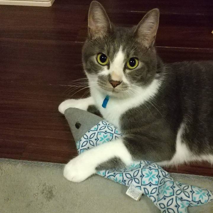 1d09c579 550e 4155 9b22 91d710601d89 1600612524354