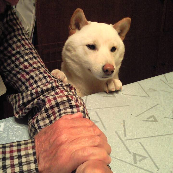 1d09e2a4 2e45 4831 b03a 957bbcece218 1634471853395