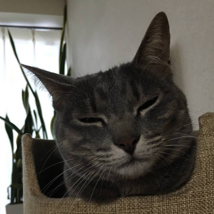 1d09fce0 138c 4cae b40f f4ff43518a0f 1547594740523