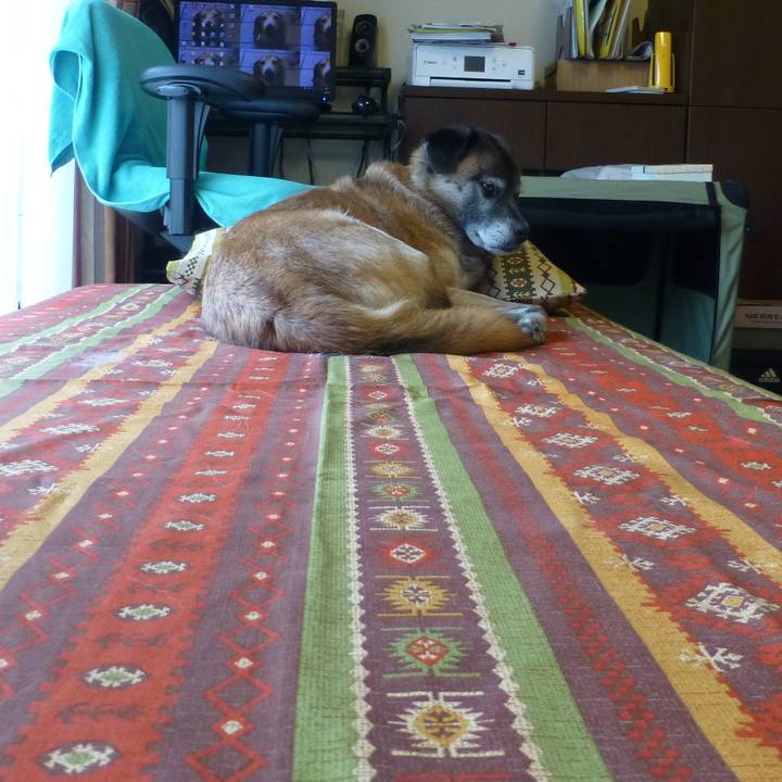 1d0a4326 467b 4f52 bc3b 0c35da44b181 1613954233465