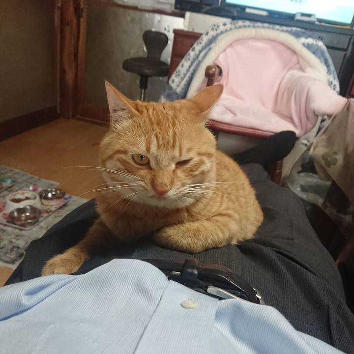 1d0a5fb0 e508 4ce1 9e25 d04cf0001f8e 1651322953944