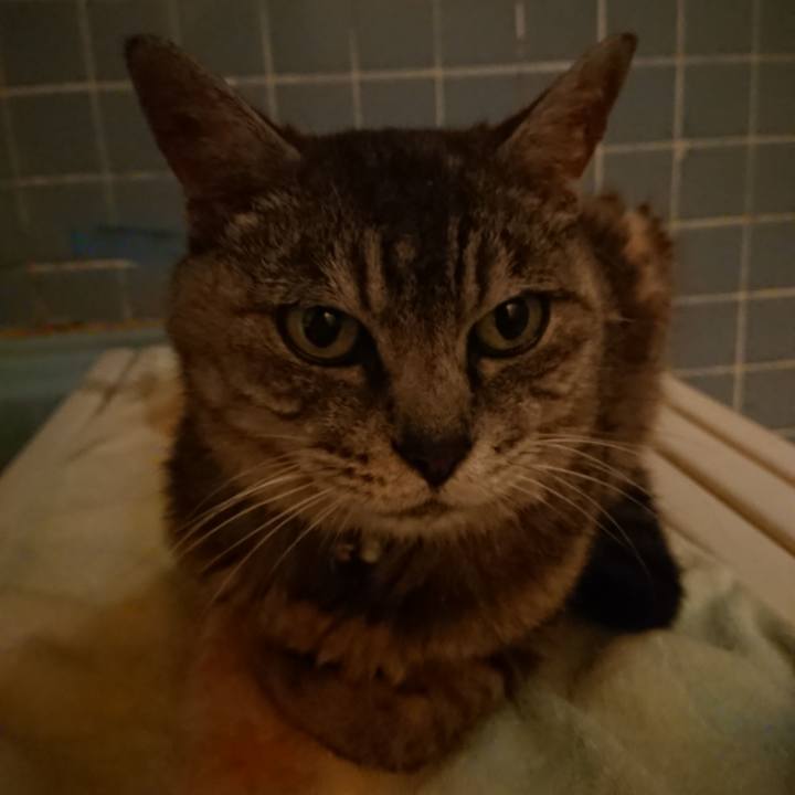 1d0aba92 72d7 413b 8198 349958fee714 1567074122147