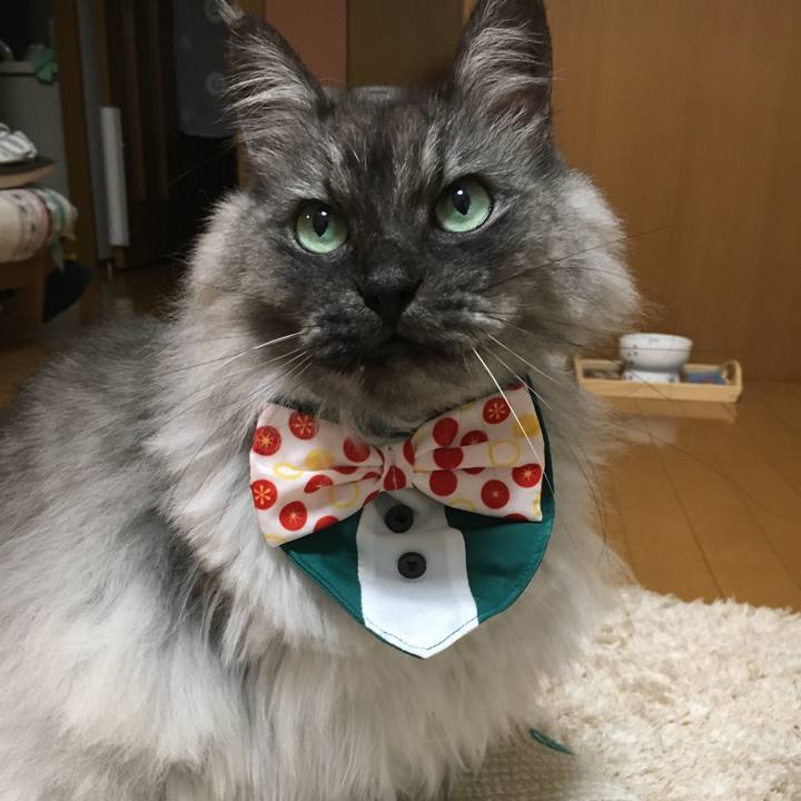 1d0ac194 2944 4ba3 b74c 1c62b463471e 1511234153517