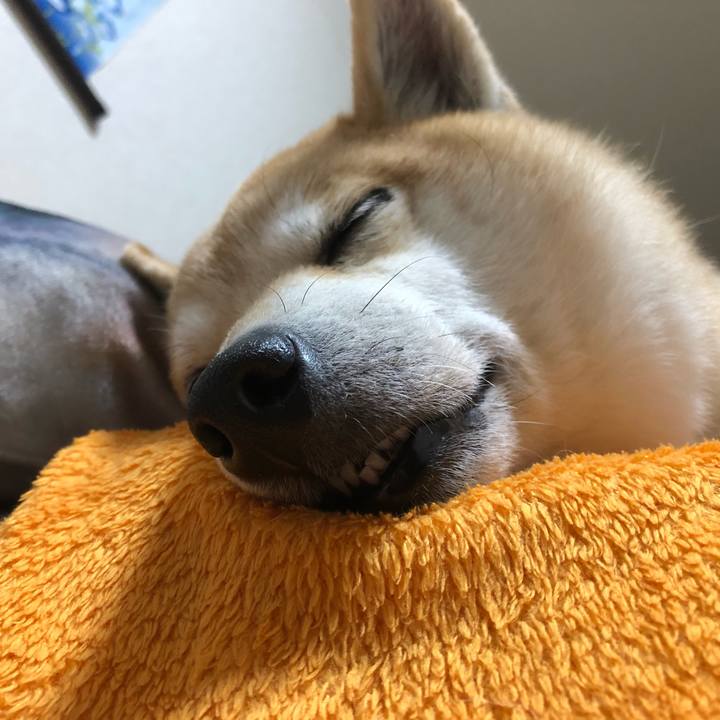 1d0ac829 a9c3 43cc b6e8 3a345fcb8e20 1550196451309