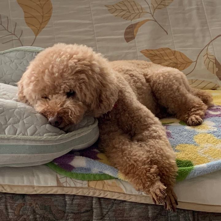 1d0b00e0 fc9e 41dc aa0e d3a0effce90f 1563144421659