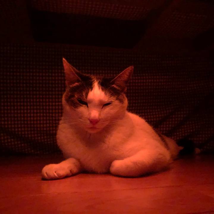 1d0b01f8 a49e 430c ad4d 84196a5ade33 1704026501854