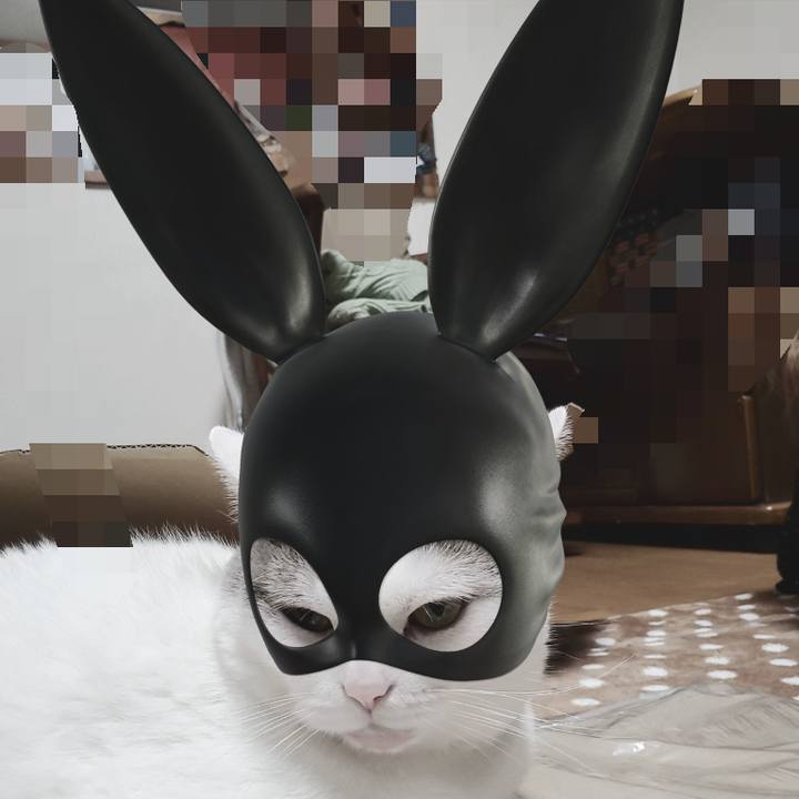 1d0b1306 8bc6 47bd 888a 9810c90cbd77 1572608500998