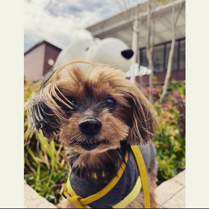 1d0b48db 33e1 427f 8995 ee91cb7746f9 1680766482606