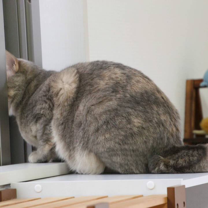 1d0b6e1d 5103 484c a9c5 0beb5776bad4 1543973425165