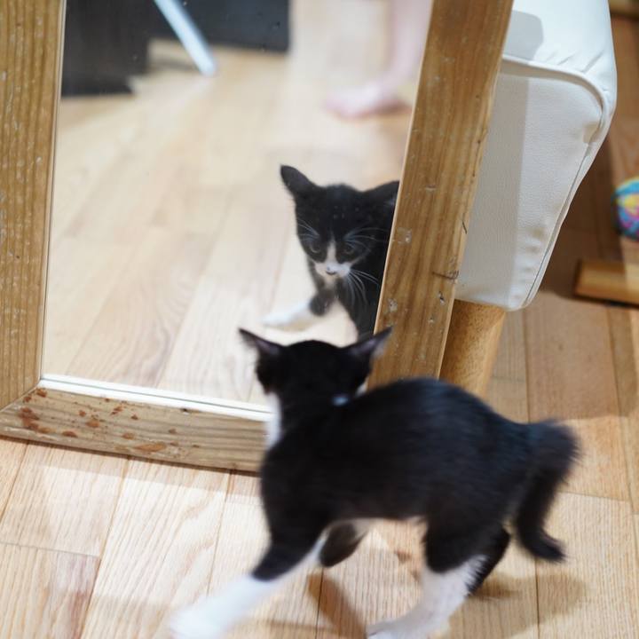 1d0b9844 a261 446f 9e9d 4e1a35e54d62 1587135409994