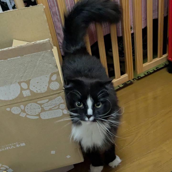 1d0b9c7f 6ed9 4d26 b0eb c34aaa464a7d 1744500484846