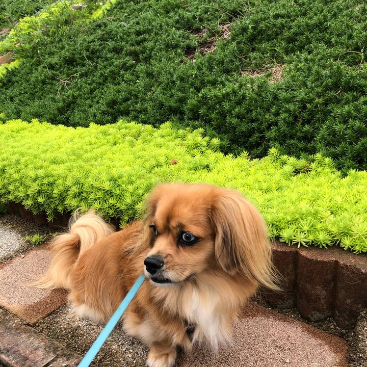 1d0ba7c9 91ba 4767 be59 1697486ef99d 1572139623736