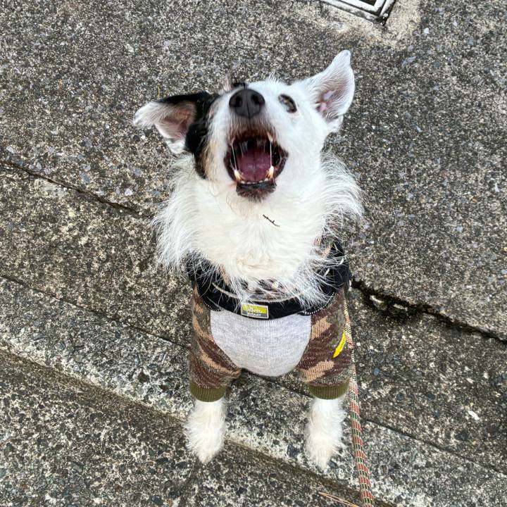 1d0bccd3 004f 4897 876d 5020a476e2da 1766362101874