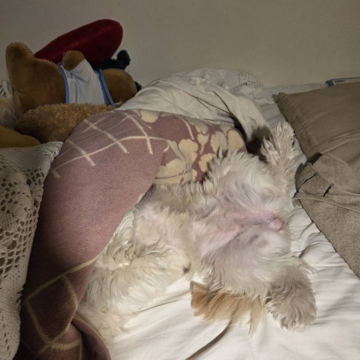 1d0be10d c473 4070 8d78 4f7d1a90ff84 1769944228360