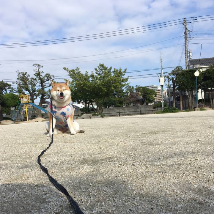 1d0c4bc4 04f4 4f41 9a3d fcaad5e02519 1569457111367