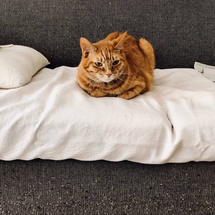 1d0c4ff8 bc43 4bb7 af4a 54dbdba99d8c 1528955619136