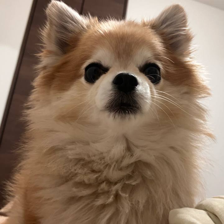 1d0c7972 b5b6 4c2b 8ef9 7c3d1cbed940 1765369309294