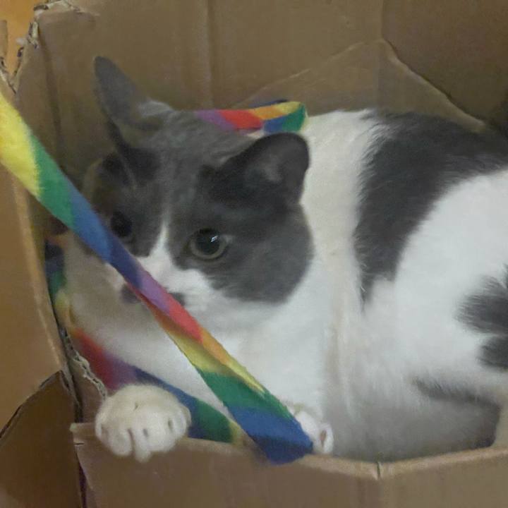 1d0cb1f1 bfd7 42e6 b104 59730688d6a9 1627726482745